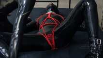 Gummipuppe wird gefickt!