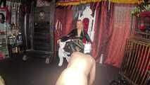 My boots are blowing the slave's fuse!