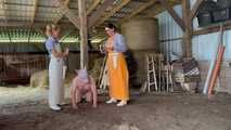 Schlachtfest! Es gibt frischen Bacon! HumanPig