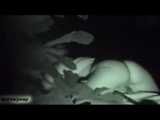 HIDDEN CAM AND FUCKING COUPLES
