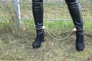 The fence problem