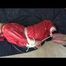 A video with Nina tied and gagged in a shiny PVC suit