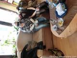 Lucy and Ginger tied Pics