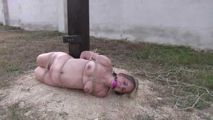 Cruel Suspension at the T-Bar for Rachel Adams