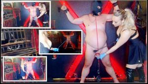 Wie viel Gewicht an den Eiern, hältst du für die Herrin aus?