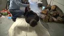 Paulette and Romy - The supposed gardener 2 part 5 of 8