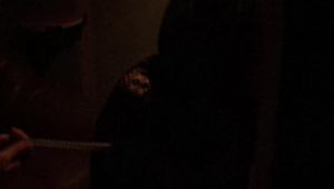 Thank you for your loyalty clips dollars only 1 per clip