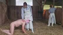 Zu zweit schlachten wir heute ein Schwein 