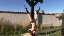 Hanging Challenge for TattoeDMomo
