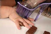 The Chocolate Thief