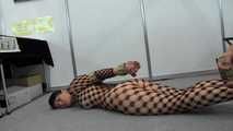 Double Hogtie