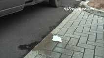 020146 Kathy Pees In The Autobahn Car Park