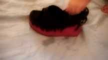 AMSTERDAM FOOTJOBS