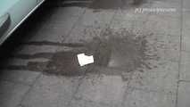 054002 Maja Pees In The Street