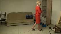 Elena - The new one from the tax office Part 2 of 9