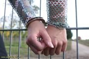 The fence problem