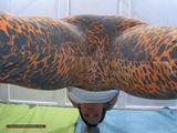 Benita facesitting in leo-leggins