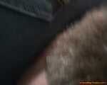 Verena heavy jeans facesitting