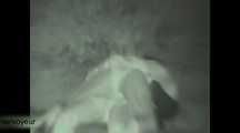 HIDDEN CAM AND FUCKING COUPLES