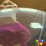 443 Alexis Crystal and the transparent beachball!