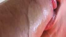 CUCKOLD DOPAMIN