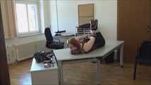 Caprice – The Fake Insurance Agent Part 6 of 6