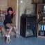 Gaby, Stefanie and Viola - Surprise Visit Part 3 of 9