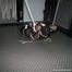Session at Lady Jarka Part 1