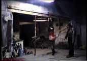 Pony Training
