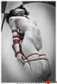 Hogtied on the kitchen table, part 2