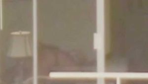 HEIMLICH BEOBACHTET UND DU DABEI