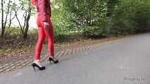 Horny red on the highway