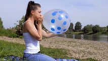 1286 B2P TT17 Polka Dot