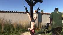 Hanging Challenge for TattoeDMomo