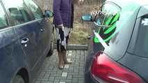 020146 Kathy Pees In The Autobahn Car Park