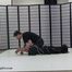 First Hogtied