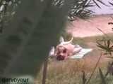 HIDDEN CAM AND FUCKING COUPLES