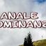 ANALE DOMINANZ
