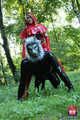 Little Red riding hood - Rotkäppchen und der böse Latexwolf