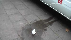 054002 Maja Pees In The Street