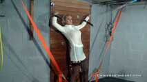 Chimera Bondage Guest gallery 5