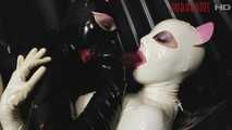 Gummi-Wildkatzen 2