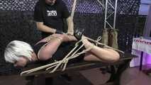 A new Hogtie Challenge for Lena King