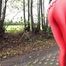 Horny red on the highway