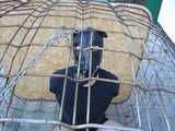 Slave in the dog cage
