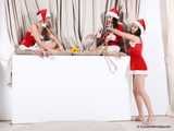 Weihnachtsbaum Geschichte mit Lucky, Nelly und Xenia - Teil eins