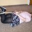 Pics of Sandra 01