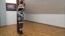 Wendy - An Unusual Job Part 4 of 4