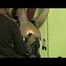 Tit BDSM playing