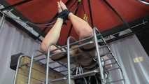 Belt Spiele Ultimate